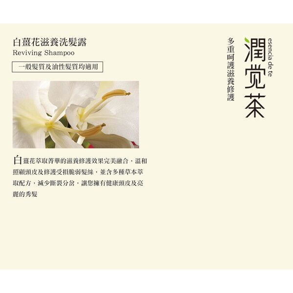 茶寶潤覺茶 白薑花滋養洗髮露(350ml)