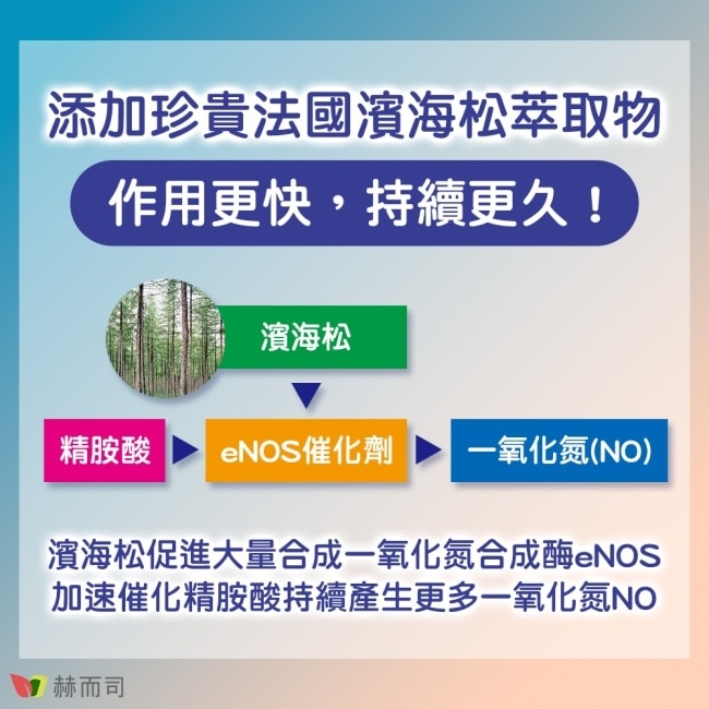 【赫而司】阿吉靈幸福活力膠囊(精胺酸+濱海松+鋅升級版)(90顆/罐)