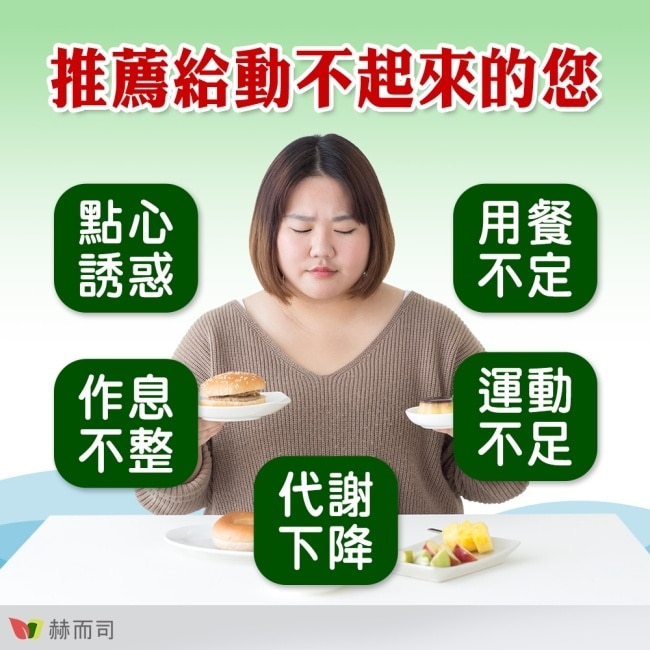 【赫而司】海藻精碘軟膠囊(60顆x2罐)含褐藻素+碘+防彈MCT中鏈脂肪酸促進新陳代謝
