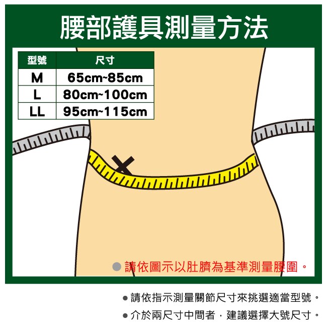 萬特力 腰部護具-M