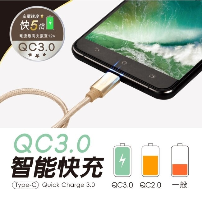E-books X49 Type C 鋁製充電傳輸線30cm-金