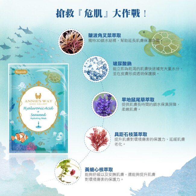 Annies Way 安妮絲薇 夢幻秘境系列玻尿酸海藻保濕鎖水面膜 10片/盒