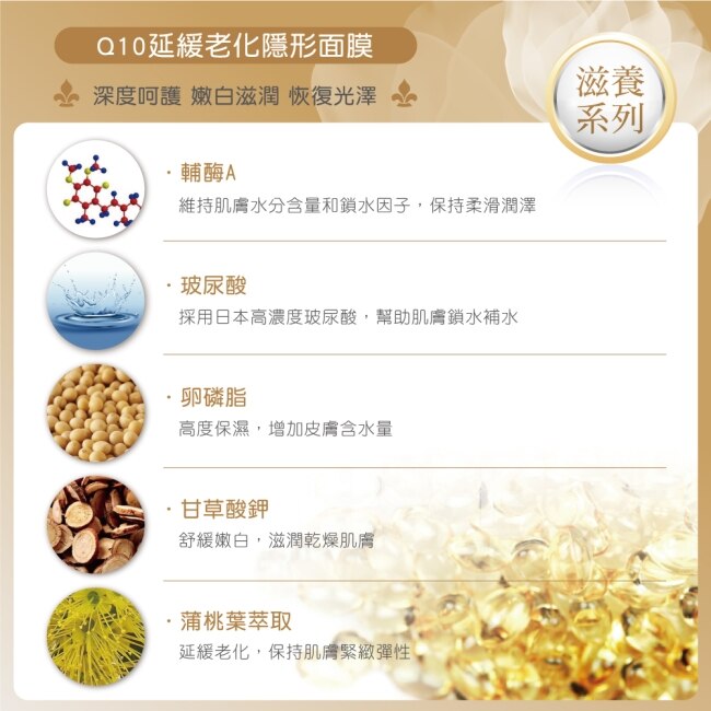 Annies Way 安妮絲薇 Q10隱形面膜 10片/盒