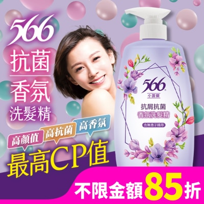 566 566小蒼蘭抗屑抗菌香氛洗髮精800g