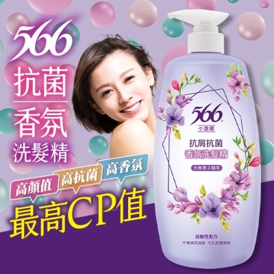 566 566小蒼蘭抗屑抗菌香氛洗髮精800g