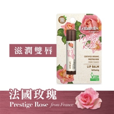 Naturals by Watsons - Naturals by Watsons 精萃玫瑰潤唇膏 4.5g (new)