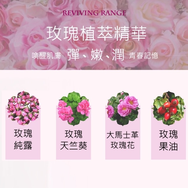城市吠陀 玫瑰賦活保濕日霜10ml image