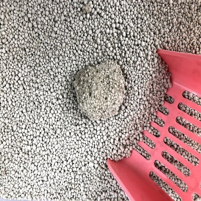 迦美貓砂凝結除臭大球砂10L三包組—箱購