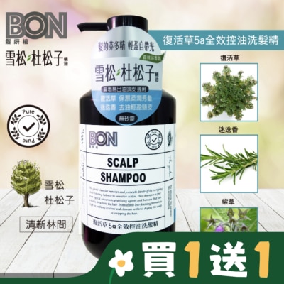 BON BON復活草5a全效控油洗髮精550ml