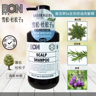 BONBON BON復活草5a全效控油洗髮精550ml