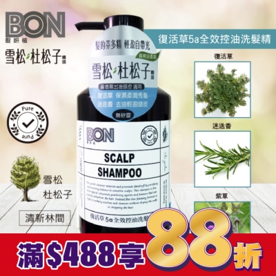 BONBON BON復活草5a全效控油洗髮精550ml