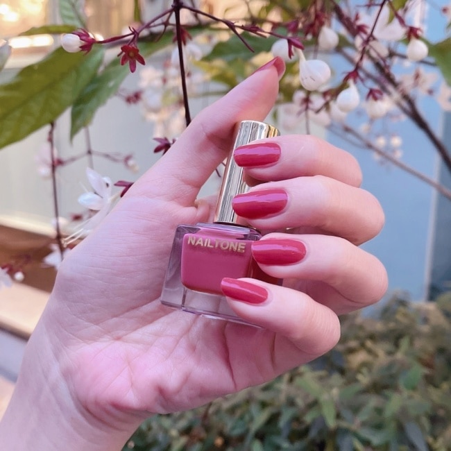 NAILTONE 持久引力指甲油 (荔枝玫瑰) (10mL) N054