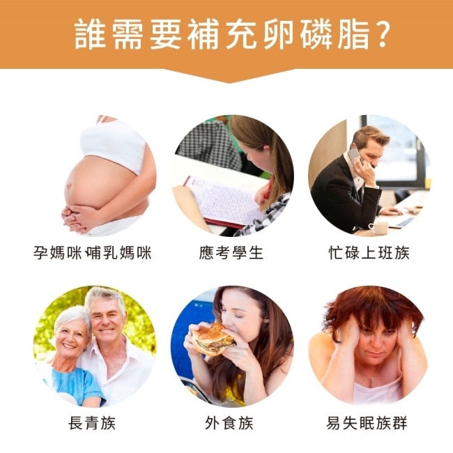 Lovita愛維他 大豆卵磷脂(60顆)素食膠囊