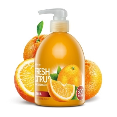 AGAINST 快潔適SDC抗菌洗手乳300ml-清新柑橘