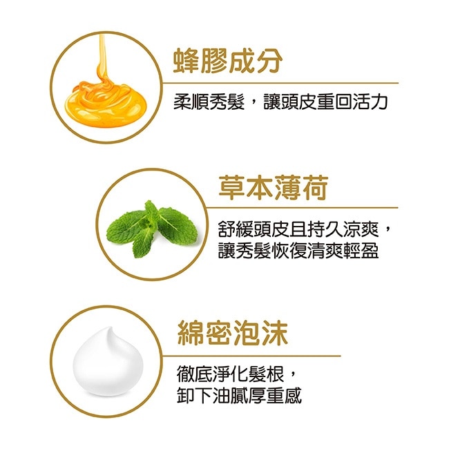 OZAWAKEI 小澤蜂膠薄荷頭皮涼感洗髮精 500ml