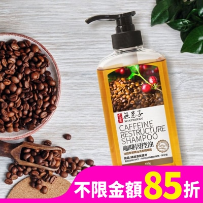 GUBAO古寶無患子 古寶無患子咖啡因控油強健髮根洗髮精華露450g
