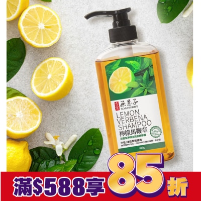GUBAO古寶無患子 古寶無患子檸檬馬鞭草深層潔淨洗髮精華露450g