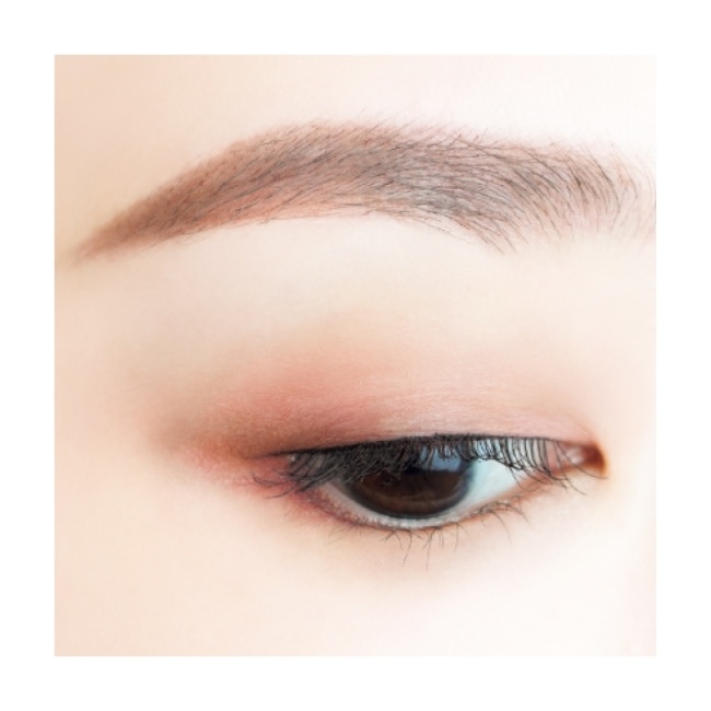 CANMAKE 完美霧面眉影盤 505-05 3.3G