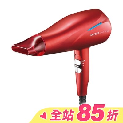 TS達新牌 達新牌銀離子抗菌負離子吹風機TS-2969