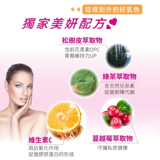 Lovita愛維他 女性緩釋型美妍活力B群 全素 7天旅行包