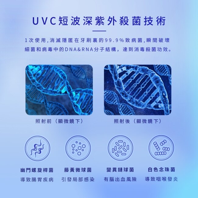 美國佛迪智能紫外線牙刷消毒器 FD-UV200