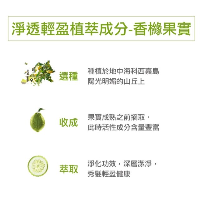 蔻蘿蘭淨透輕盈洗髮精200ml