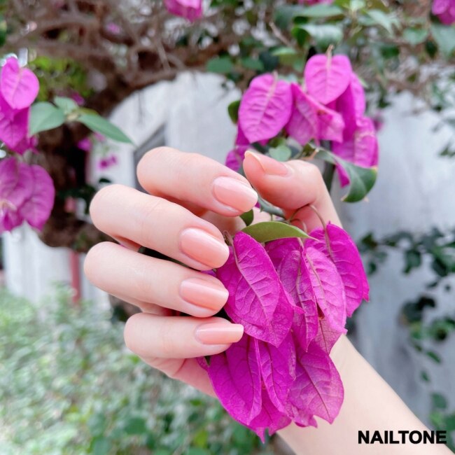 NAILTONE 持久引力指甲油 (巴黎薔薇) (10mL) N103