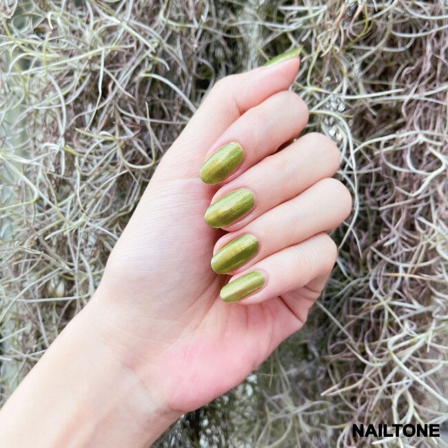 NAILTONE 持久引力指甲油 (鉑金蔓綠) (10mL) N120
