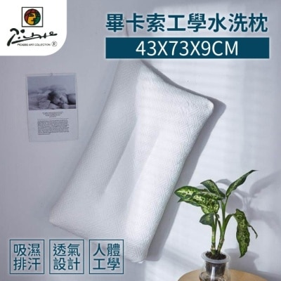 家購網嚴選 【家購網嚴選】畢卡索工學水洗枕 43x73x9cm