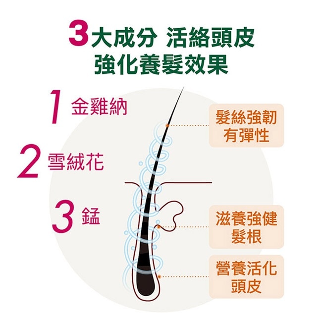 蔻蘿蘭植萃養髮強韌精華液推廣組