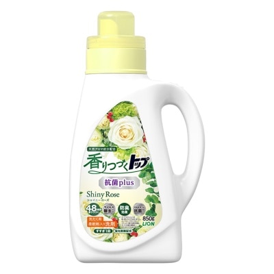 LION 日本獅王香氛柔軟濃縮洗衣精 抗菌白玫瑰850g