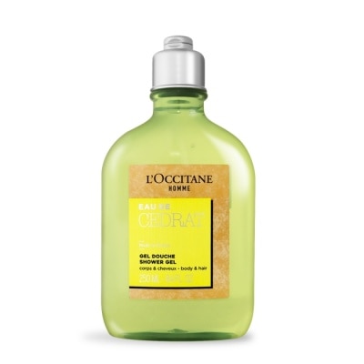 L OCCITANE L’OCCITANE 歐舒丹 都會男士雙效沐浴膠(250ml)-專櫃公司貨