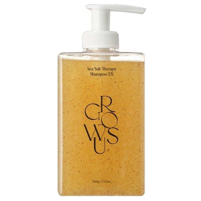 戈洛絲 海鹽控油洗髮精&nbsp;EX&nbsp;500ml&nbsp;