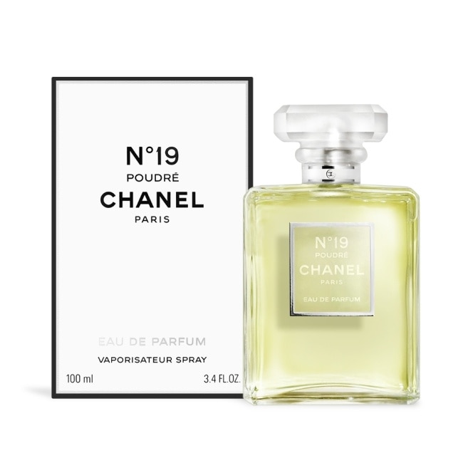 CHANEL 香奈兒 N°19 香水輕盈迴旋版(100ml)-國際航空版