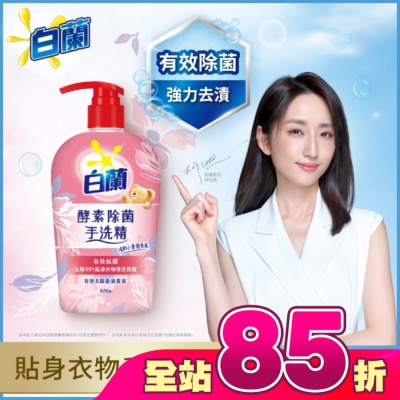 白蘭 - 白蘭酵素除菌手洗精 520G
