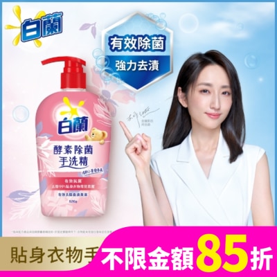 白蘭 白蘭酵素除菌手洗精 520G