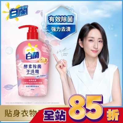 白蘭 白蘭酵素除菌手洗精 520G
