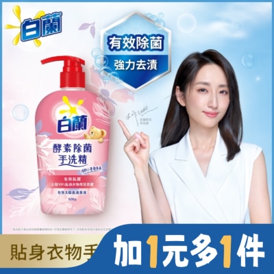 白蘭 白蘭酵素除菌手洗精 520G