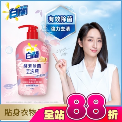 白蘭 - 白蘭酵素除菌手洗精 520G