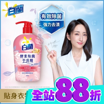 白蘭 白蘭酵素除菌手洗精 520G image