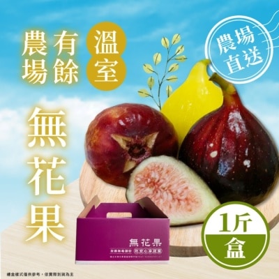 HBS 【家購網嚴選】雲林有餘農場-無毒三色無花果1斤禮盒(約9~11顆)