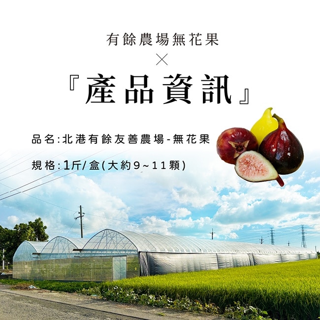 【家購網嚴選】雲林有餘農場-無毒三色無花果1斤禮盒(約9~11顆)