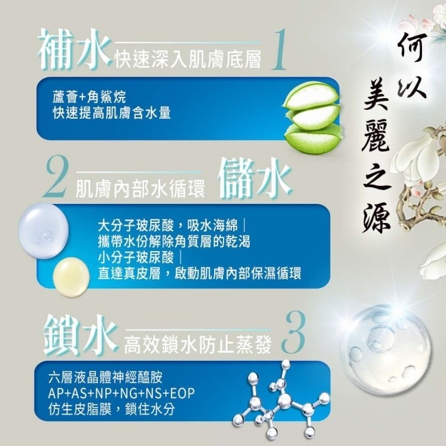 【詩美諾】高級經典東方草本雙明星超值兩件組-全能精華乳100ml+麗容霜20g