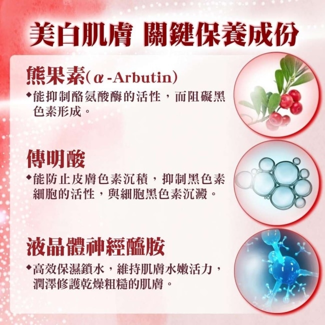 【詩美諾】高級經典東方草本雙明星超值兩件組-全能精華乳100ml+麗容霜20g