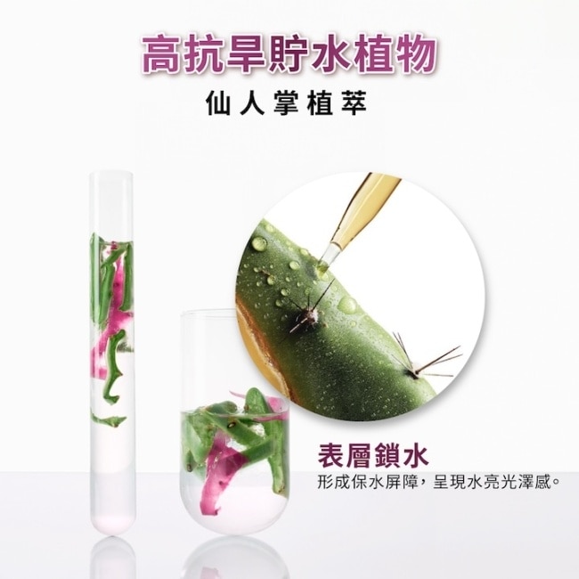 蔻蘿蘭仙人掌保濕護髮素200ml