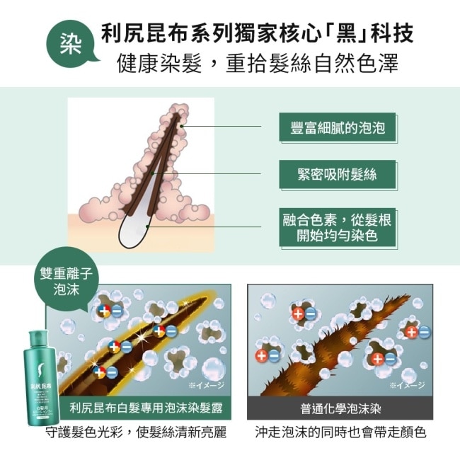 【Sastty】白髮專用日本利尻泡沫染髮露200ml黑色