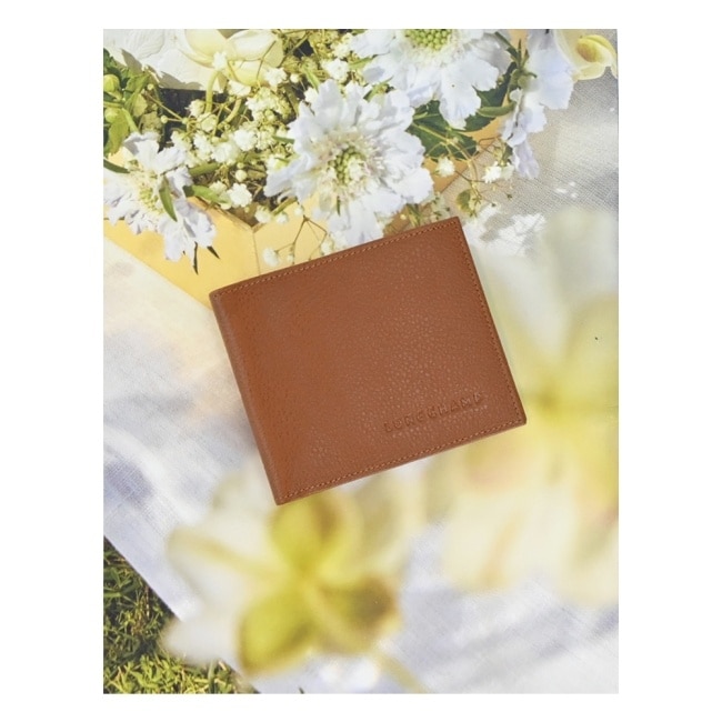 LONGCHAMP LE FOULONNE系列牛皮雙折短夾(紅褐)3508-021-F72