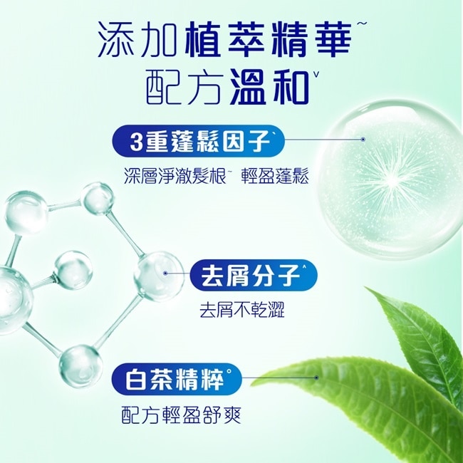 飛柔蓬鬆去屑洗髮露600g
