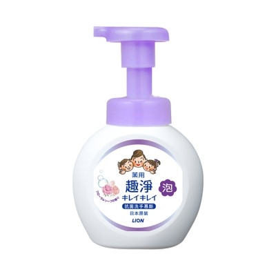 LION 獅王 日本獅王趣淨抗菌洗手慕斯250ml花香