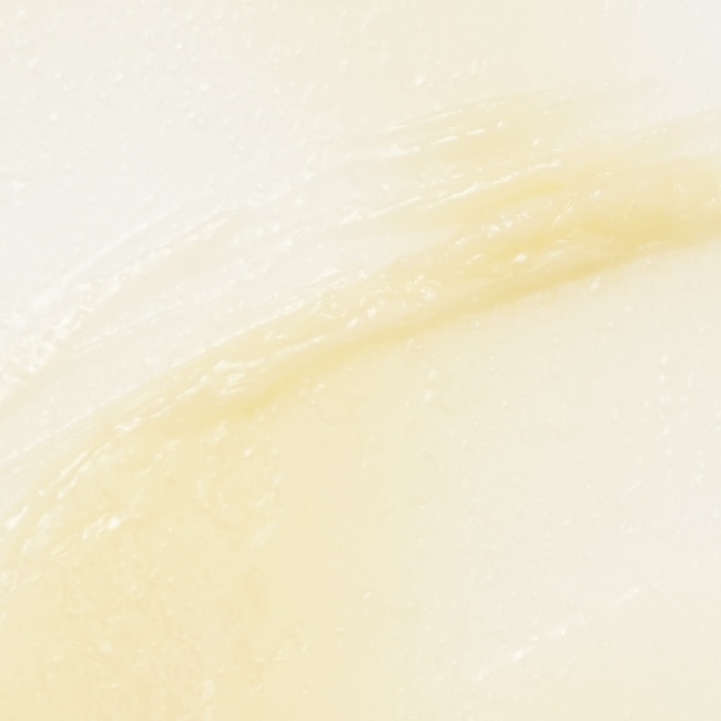 FreshO2 X VW 仲夏夢 保濕無色護唇膏-000 2.1g